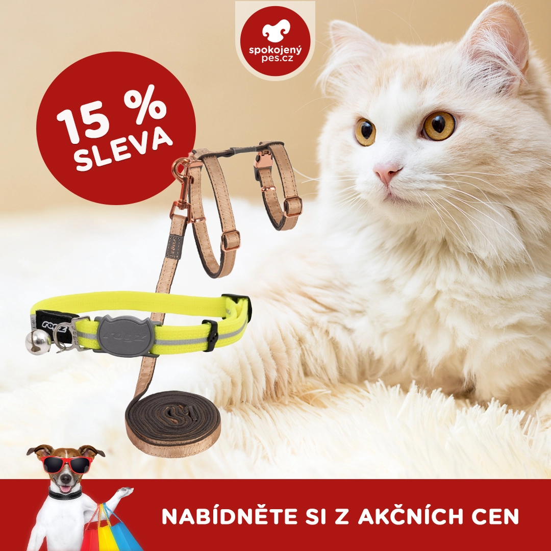 kocka 00013.webp